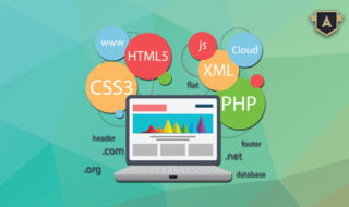 Web Development Company