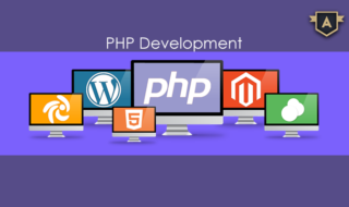 PHP Web Development