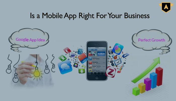 Native Mobile App Development